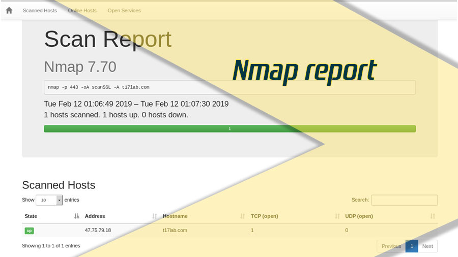 Nmap report